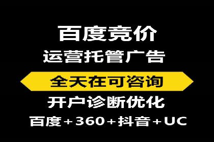 百度推广实战攻略：案例与技巧